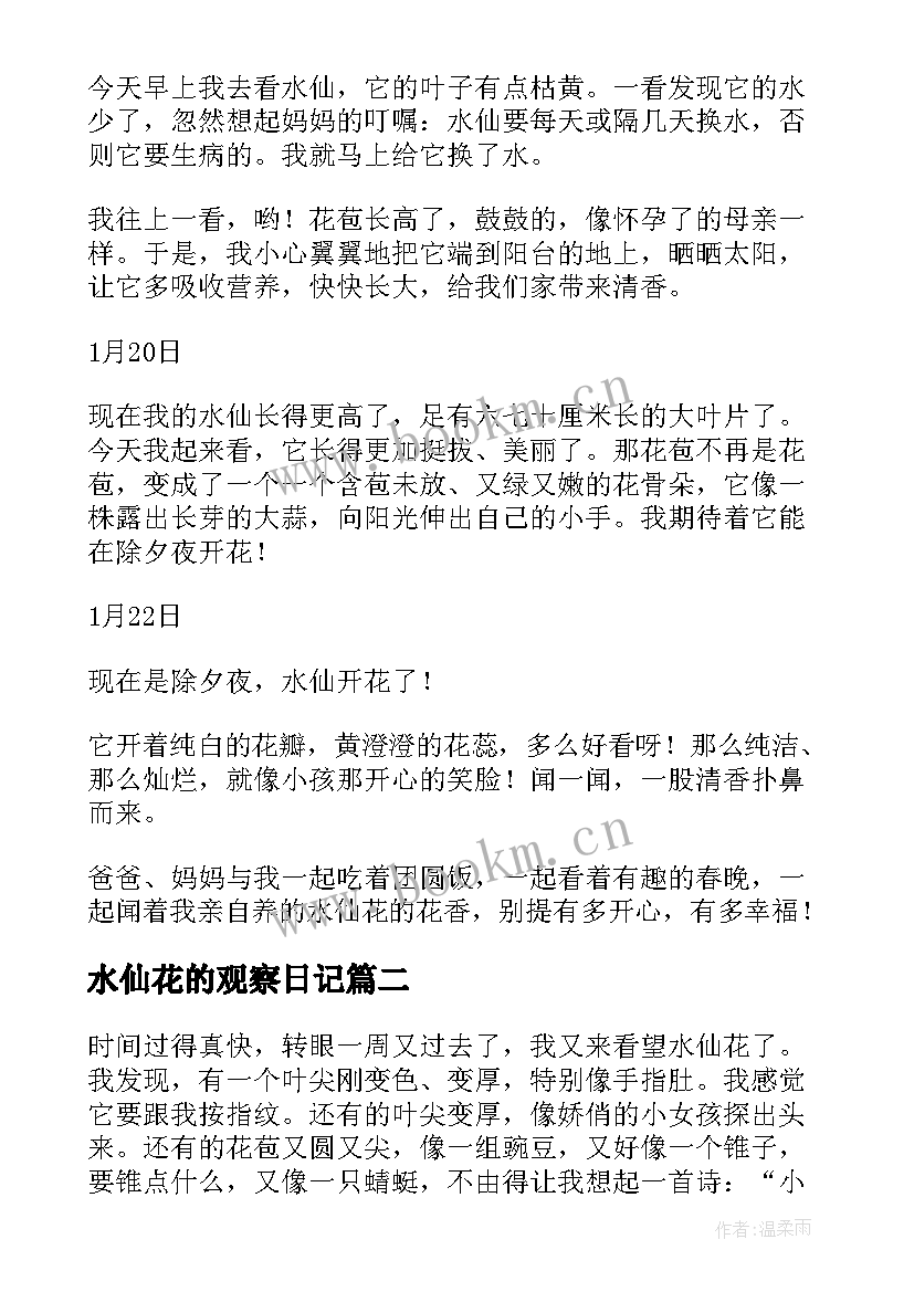 2023年水仙花的观察日记 水仙花观察日记(实用10篇)