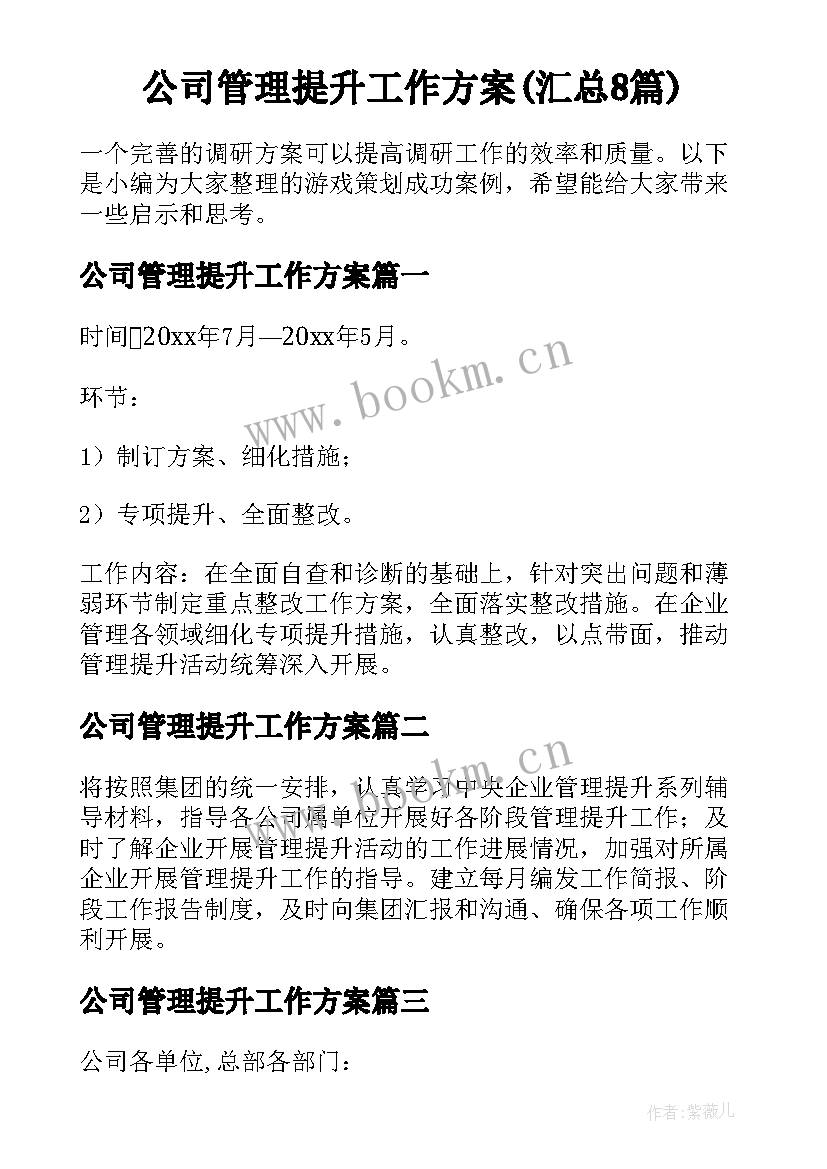 公司管理提升工作方案(汇总8篇)