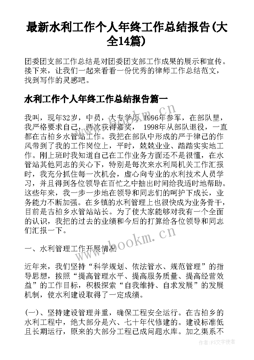 最新水利工作个人年终工作总结报告(大全14篇)