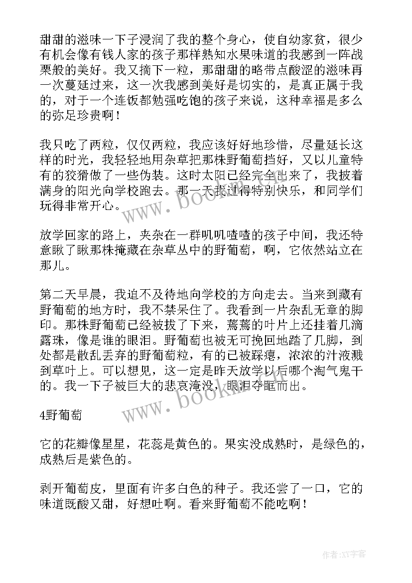 最新野葡萄读后感 野葡萄读后感初一(实用8篇)