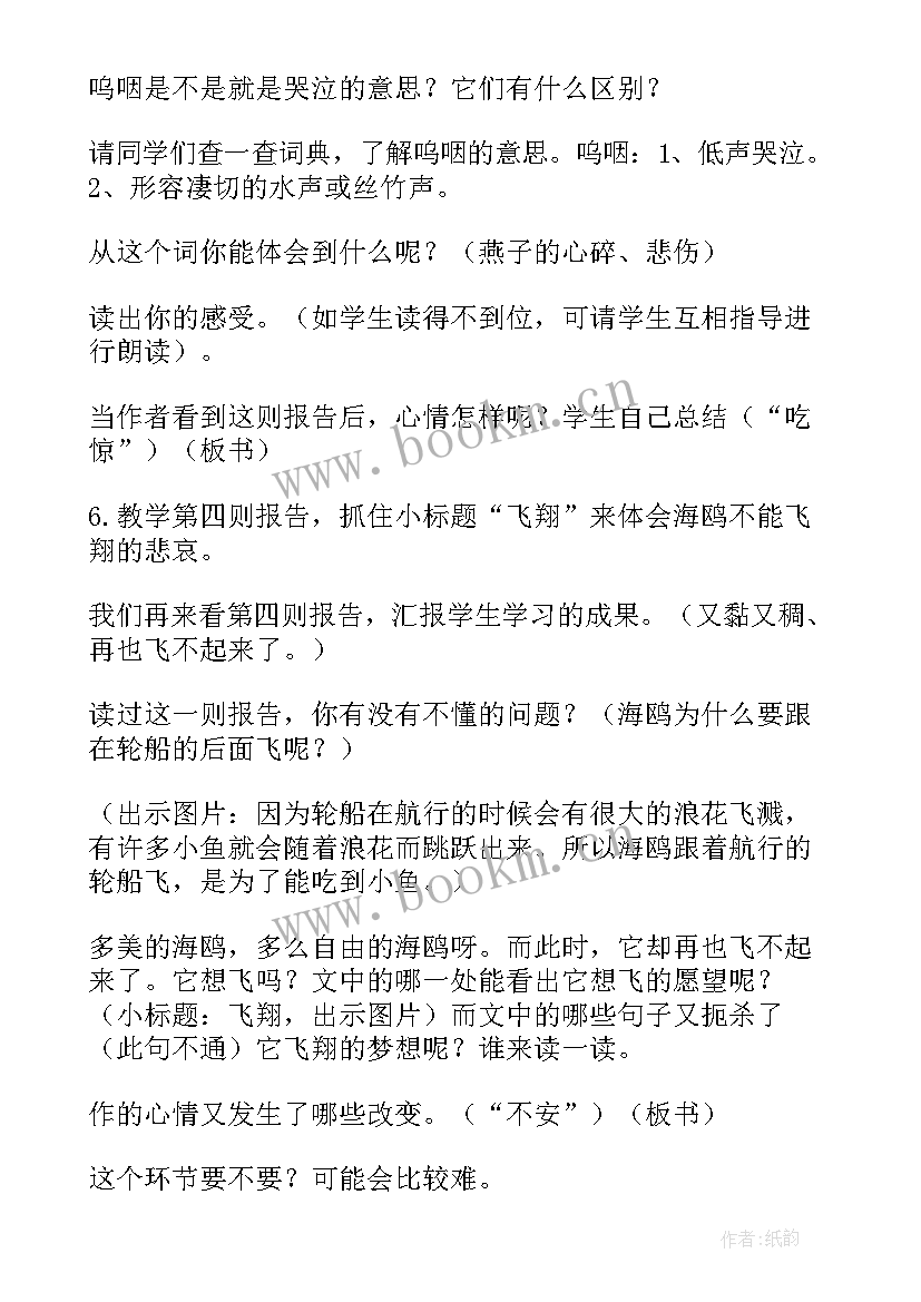 2023年鸟儿的侦察报告教学反思与评价(精选8篇)