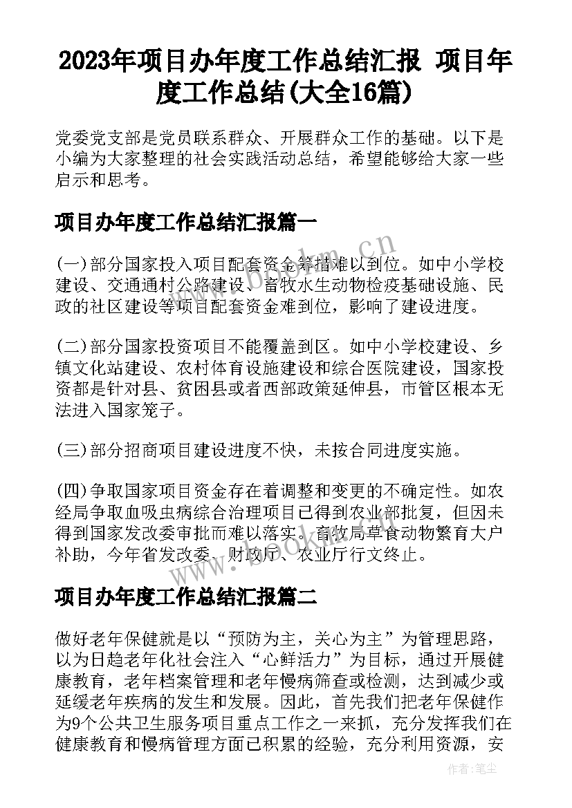 2023年项目办年度工作总结汇报 项目年度工作总结(大全16篇)