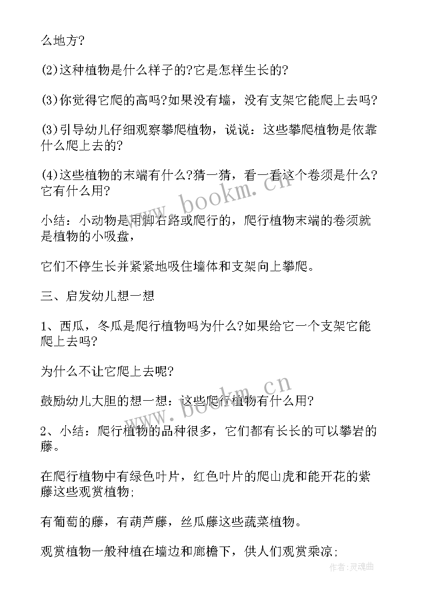 最新植物的茎的教学反思(优质13篇)