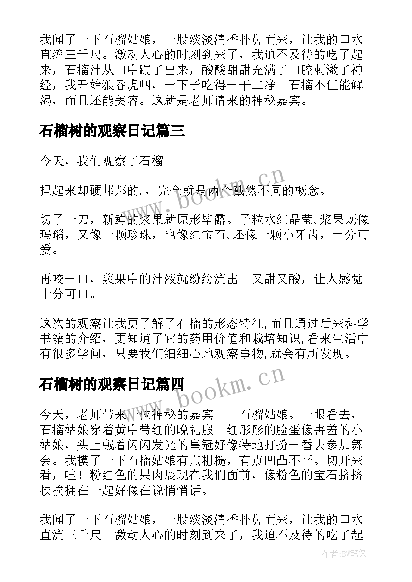 石榴树的观察日记(大全8篇)