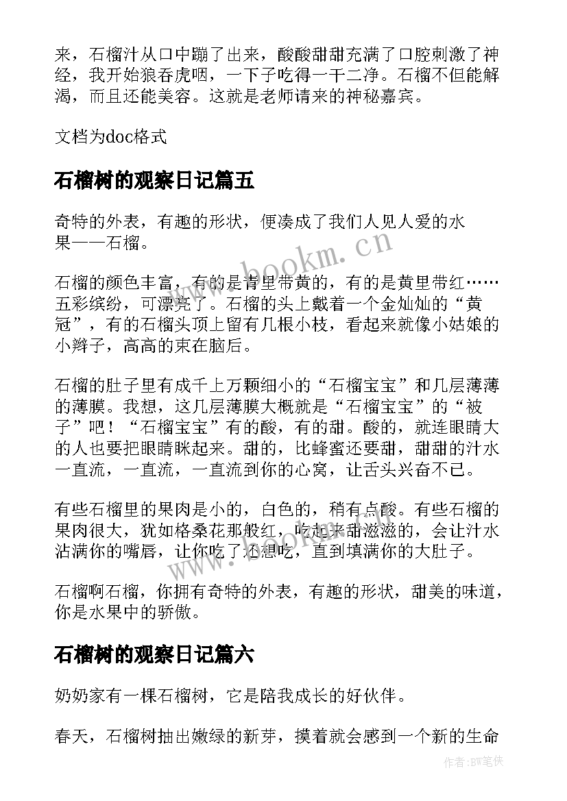 石榴树的观察日记(大全8篇)