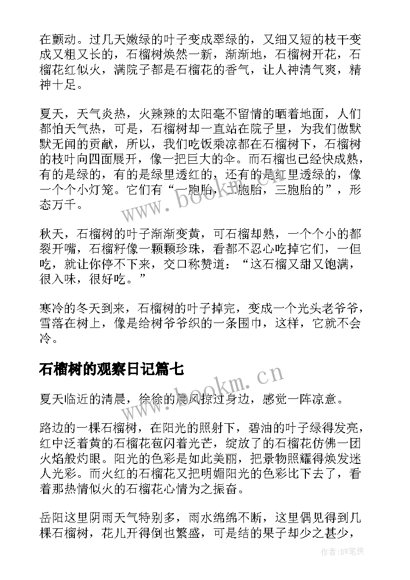 石榴树的观察日记(大全8篇)