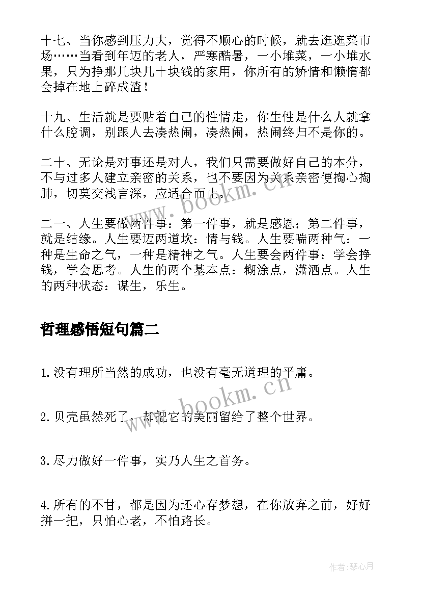 最新哲理感悟短句 经典哲理短句生活感悟经典句子(模板8篇)