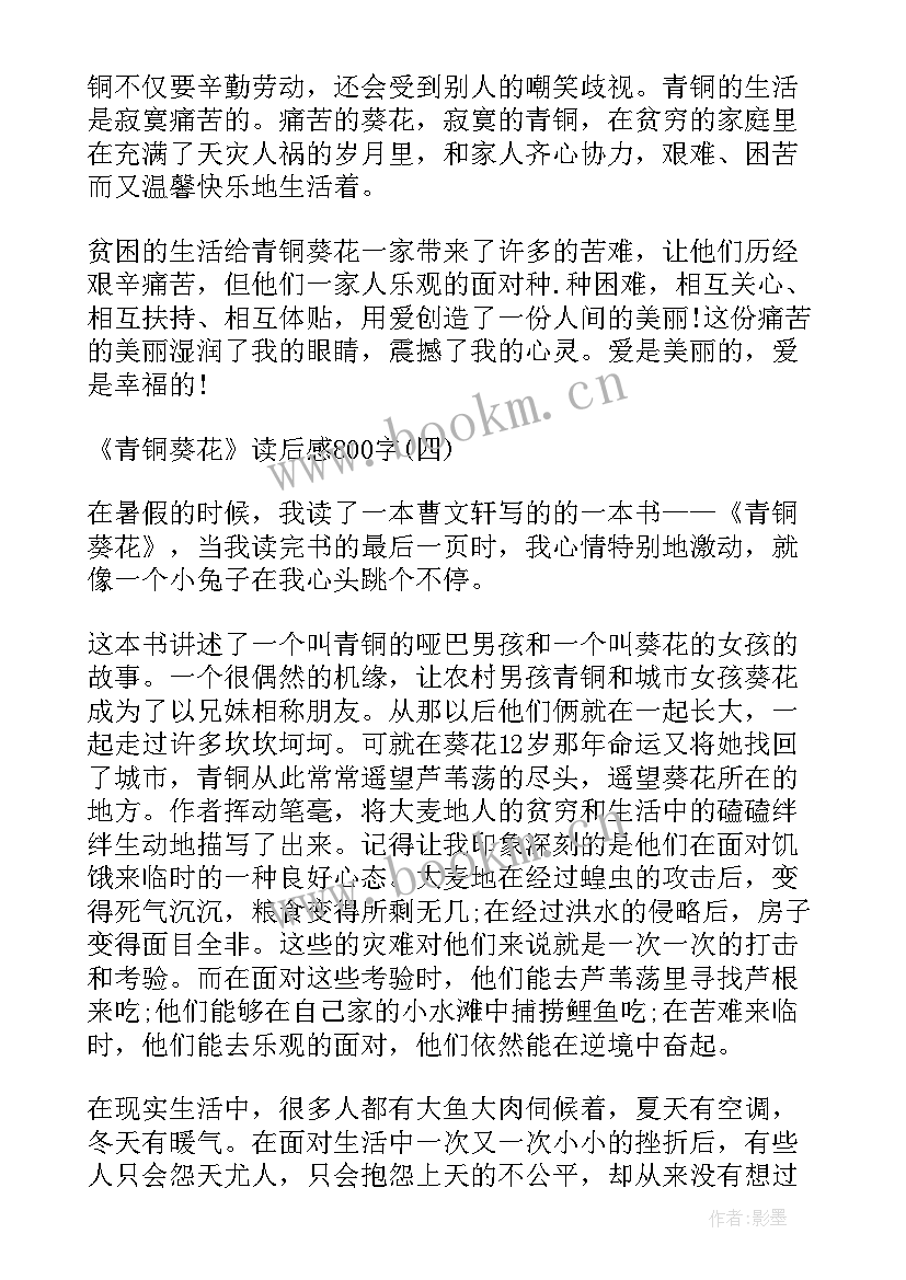 2023年葵花的美文 青铜葵花初中读后感(优秀13篇)