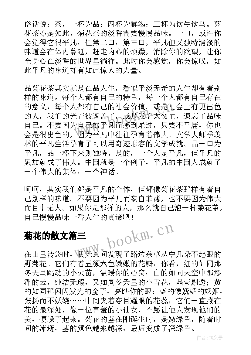 2023年菊花的散文(通用8篇)