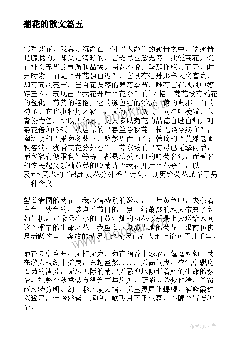 2023年菊花的散文(通用8篇)