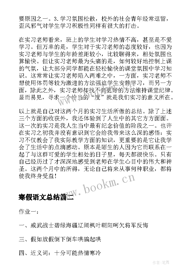 2023年寒假语文总结 语文教育寒假实习个人总结报告(通用6篇)