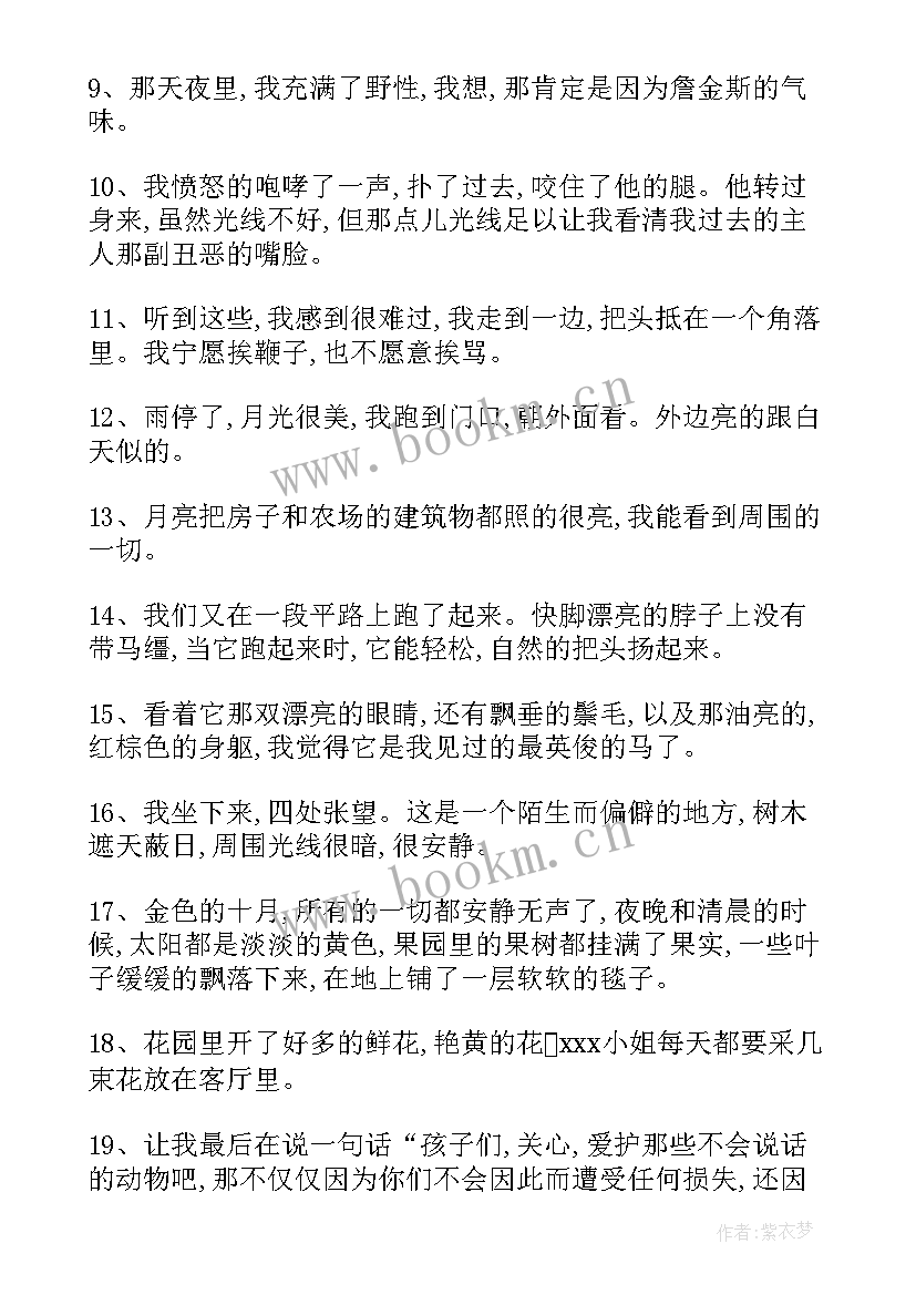 2023年二年级好段落摘抄(模板8篇)