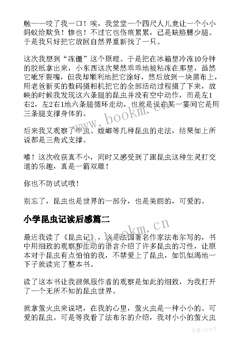 小学昆虫记读后感(模板11篇)