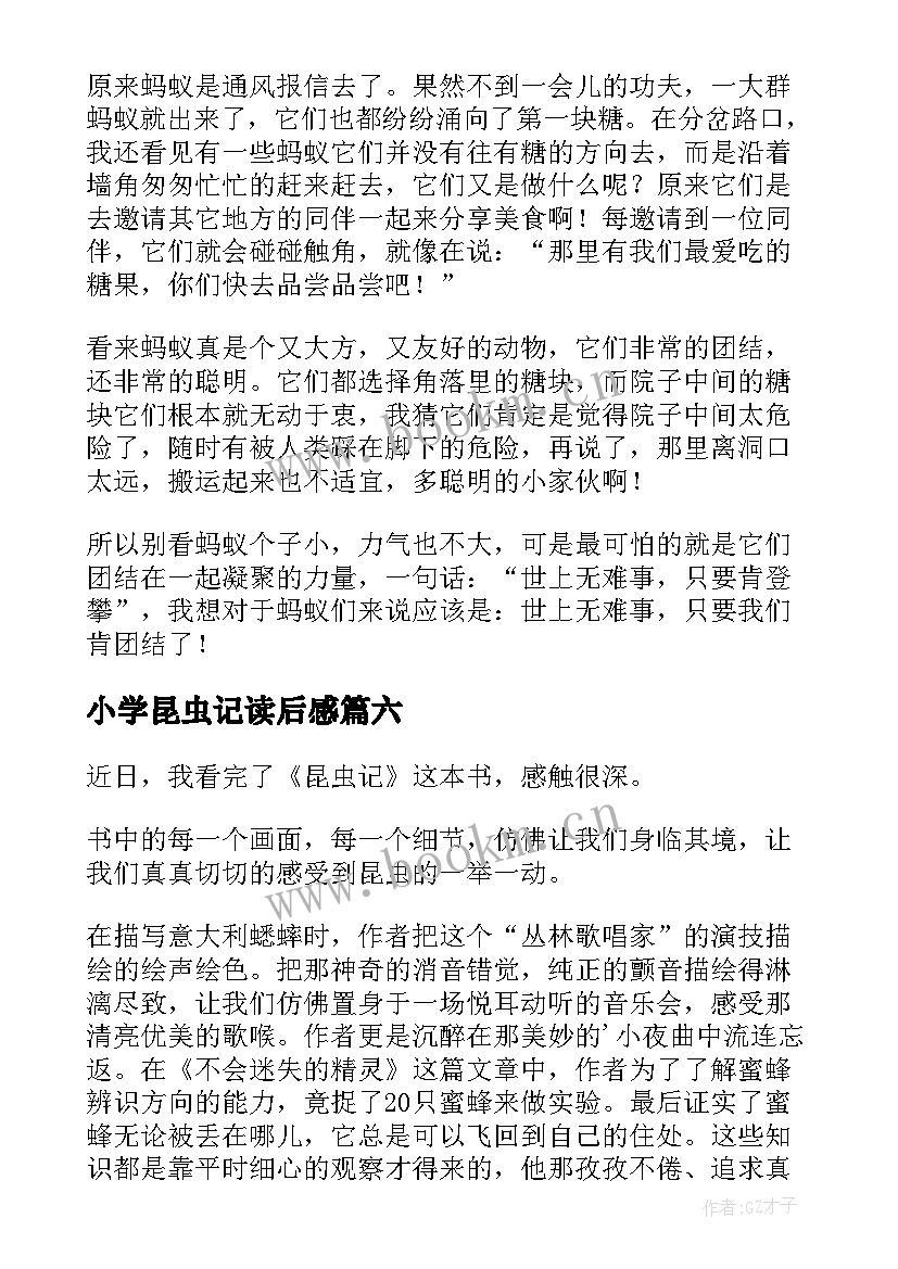 小学昆虫记读后感(模板11篇)