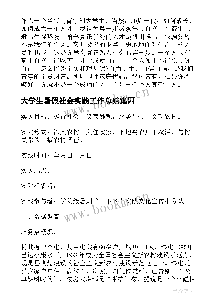 最新大学生暑假社会实践工作总结(汇总8篇)