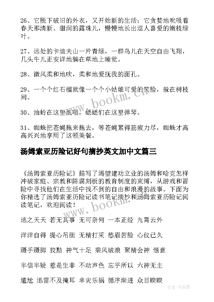 汤姆索亚历险记好句摘抄英文加中文 汤姆索亚历险记好词好句(大全13篇)