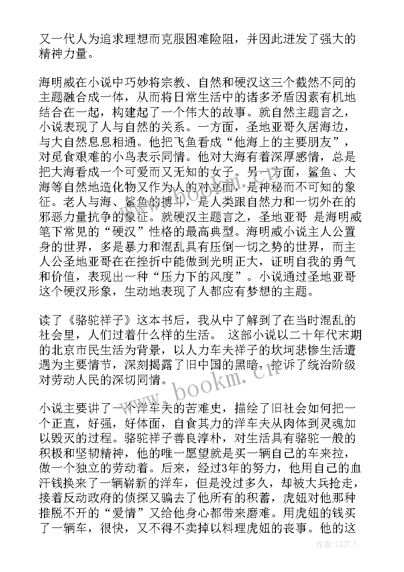 最新老人与海感悟 老人与海的感悟(汇总11篇)