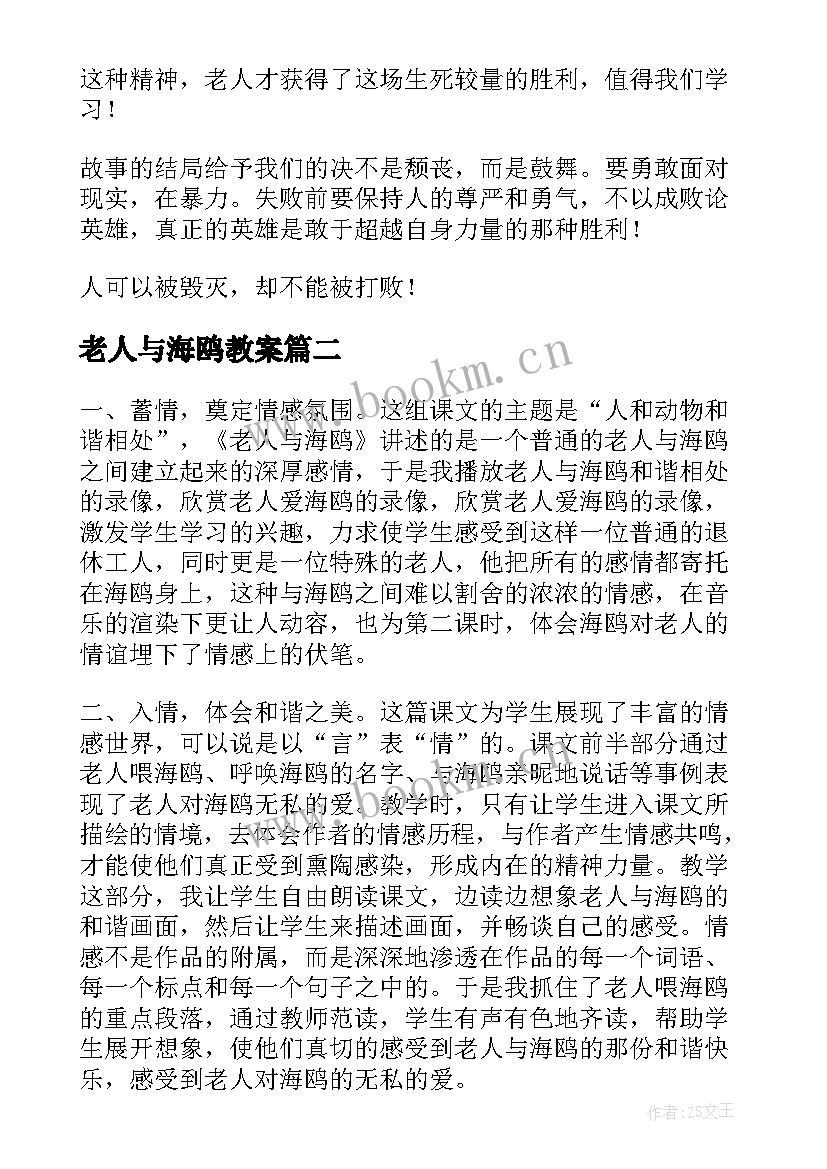 2023年老人与海鸥教案(汇总8篇)