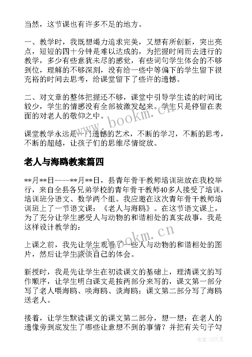 2023年老人与海鸥教案(汇总8篇)