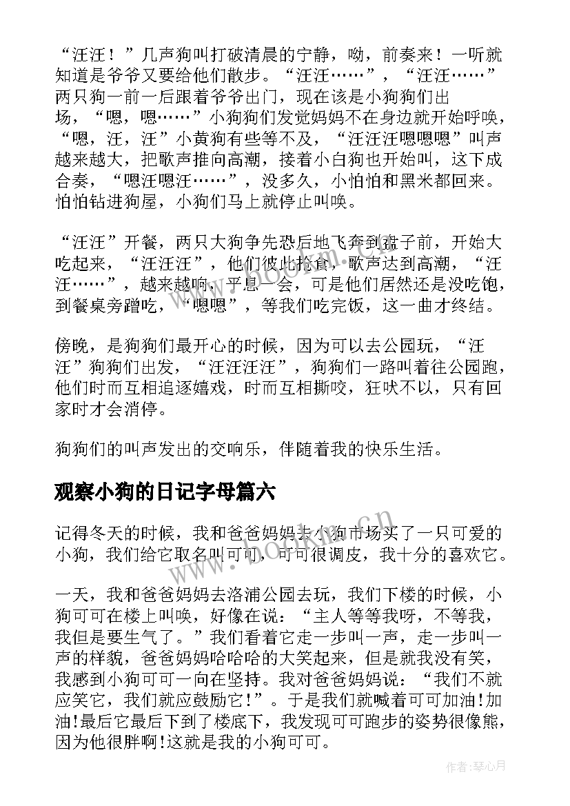 观察小狗的日记字母(优质17篇)