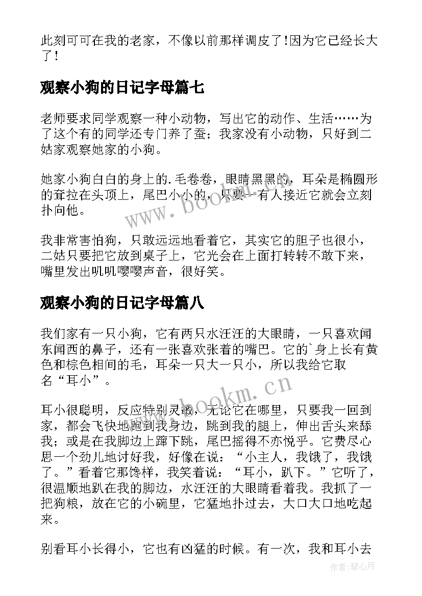 观察小狗的日记字母(优质17篇)