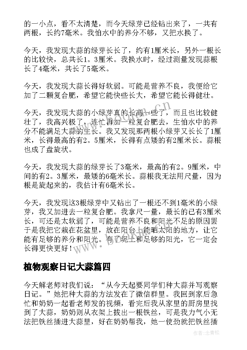 植物观察日记大蒜 观察植物大蒜日记(汇总8篇)