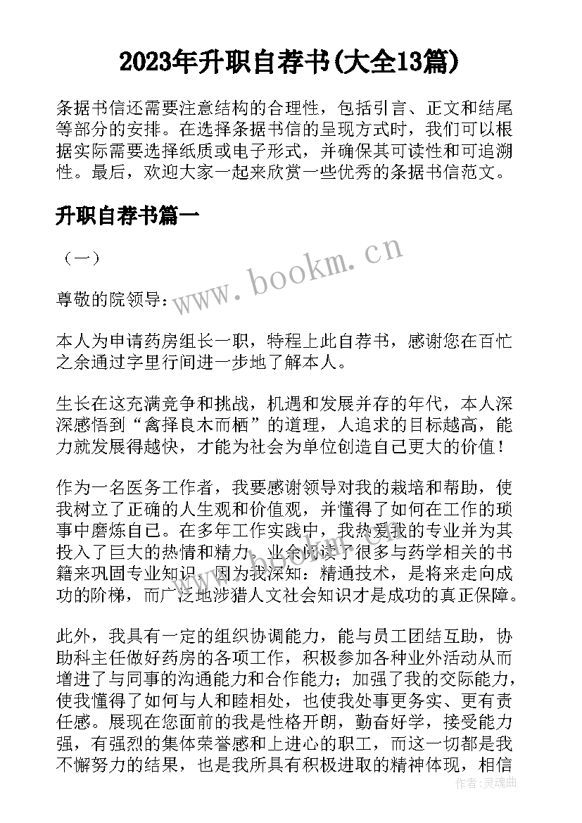 2023年升职自荐书(大全13篇)