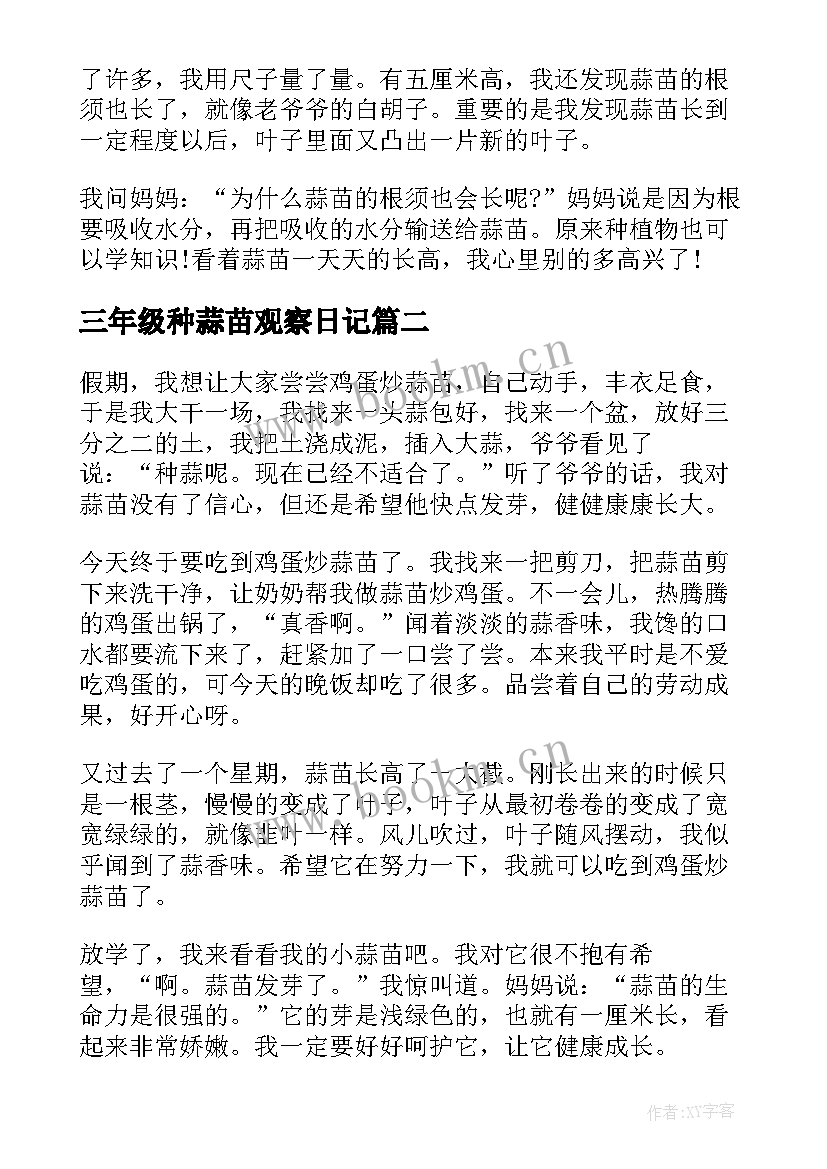 2023年三年级种蒜苗观察日记 蒜苗四年级观察日记(模板13篇)