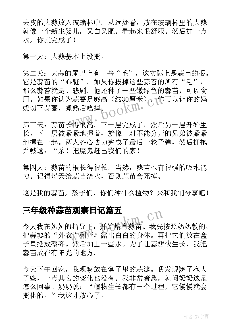 2023年三年级种蒜苗观察日记 蒜苗四年级观察日记(模板13篇)