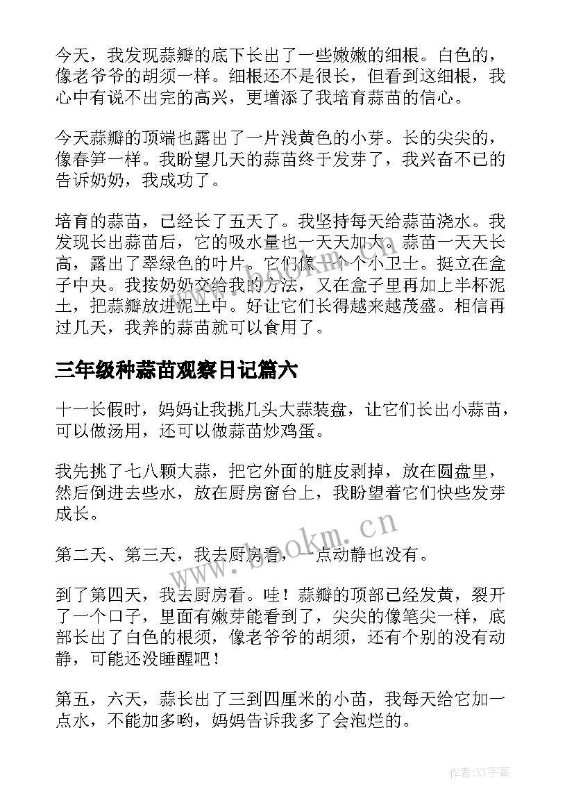 2023年三年级种蒜苗观察日记 蒜苗四年级观察日记(模板13篇)