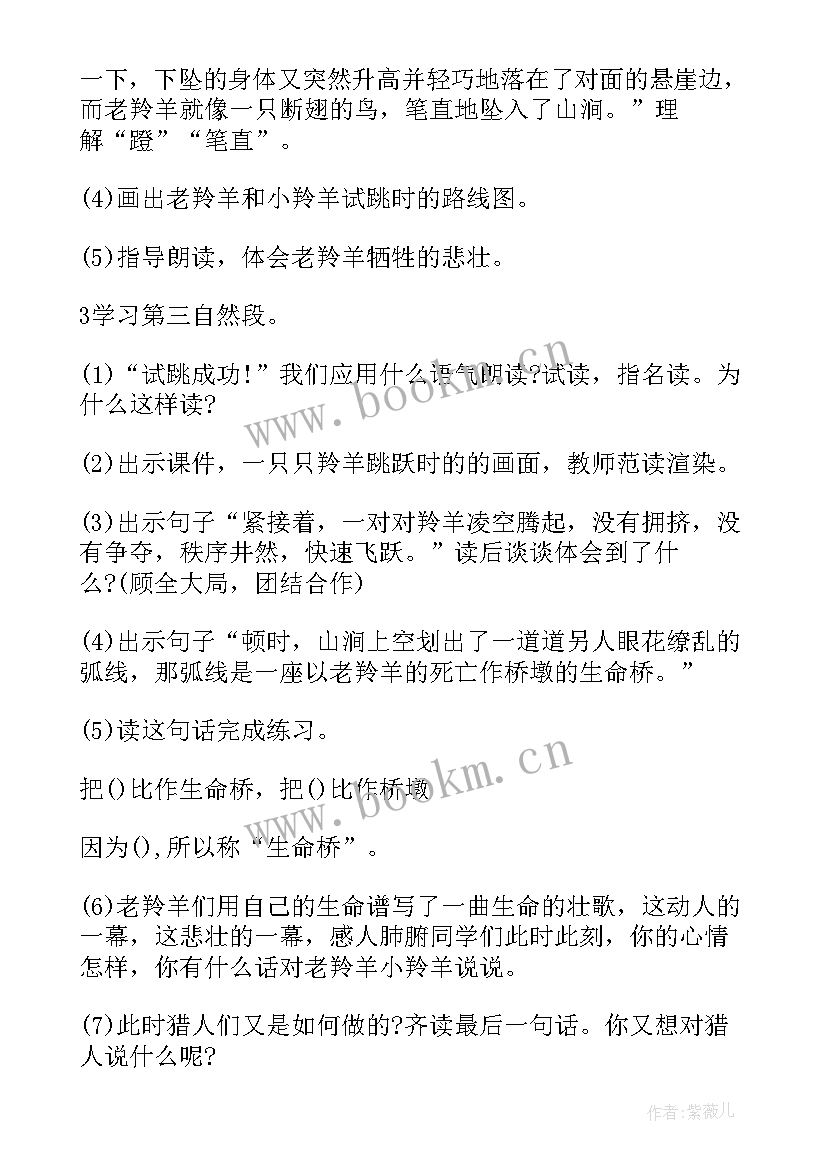 生命生命课教案(通用9篇)