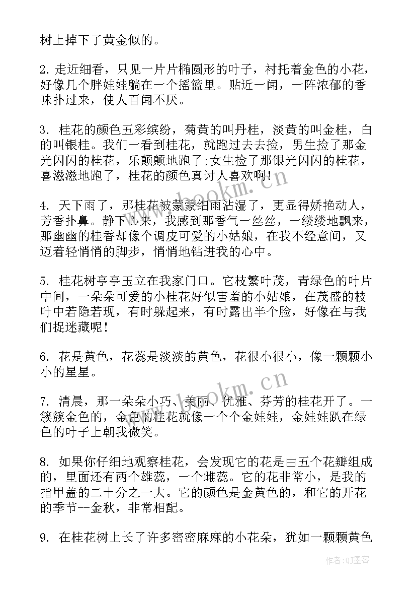 2023年桂花好词好句好段摘抄(大全8篇)