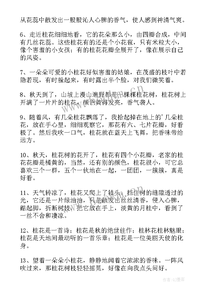 2023年桂花好词好句好段摘抄(大全8篇)