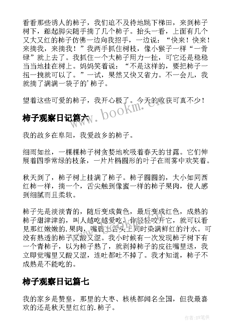 柿子观察日记(模板8篇)