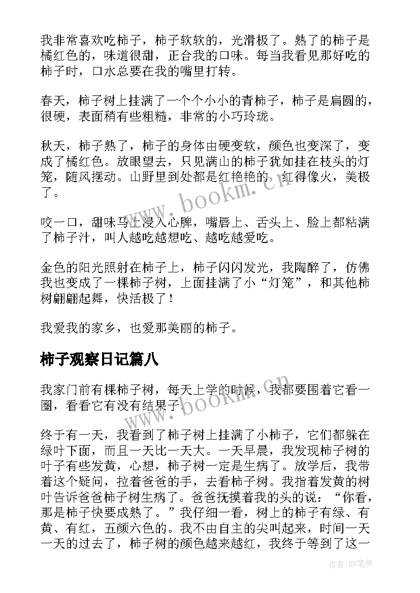 柿子观察日记(模板8篇)