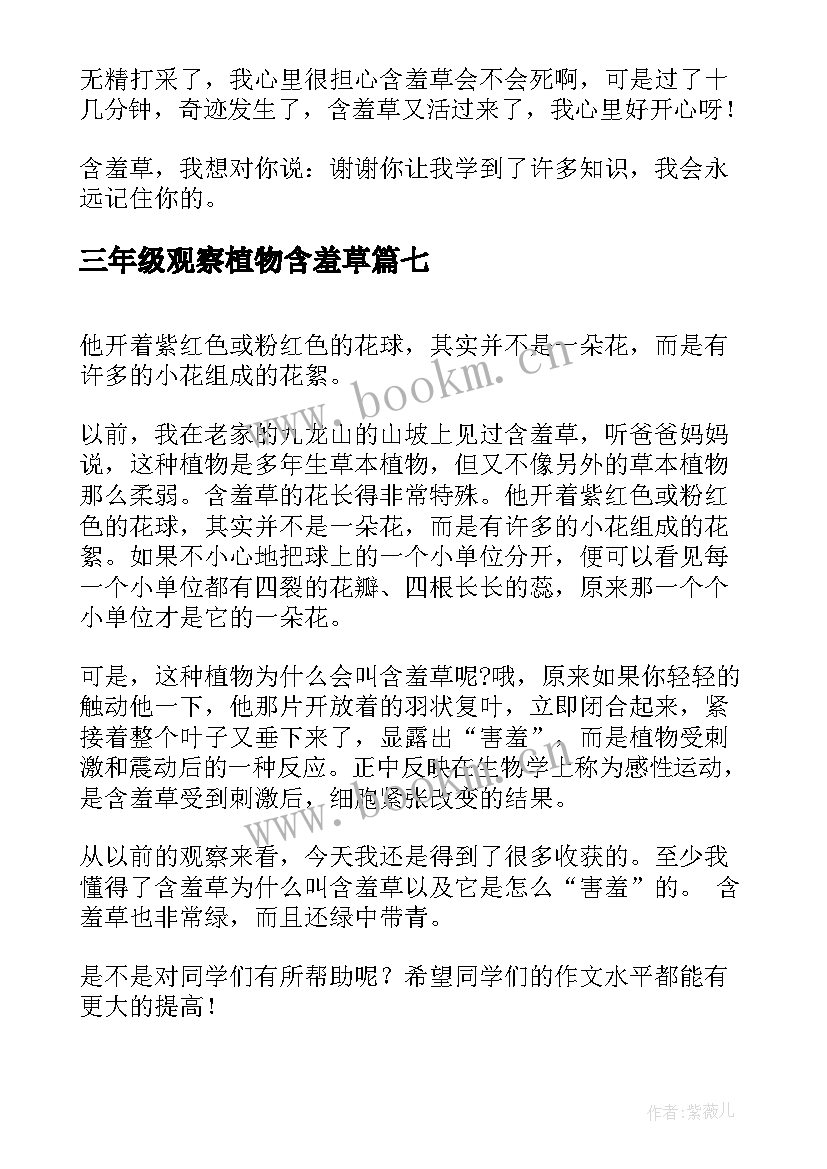 三年级观察植物含羞草 含羞草观察日记三年级(模板11篇)