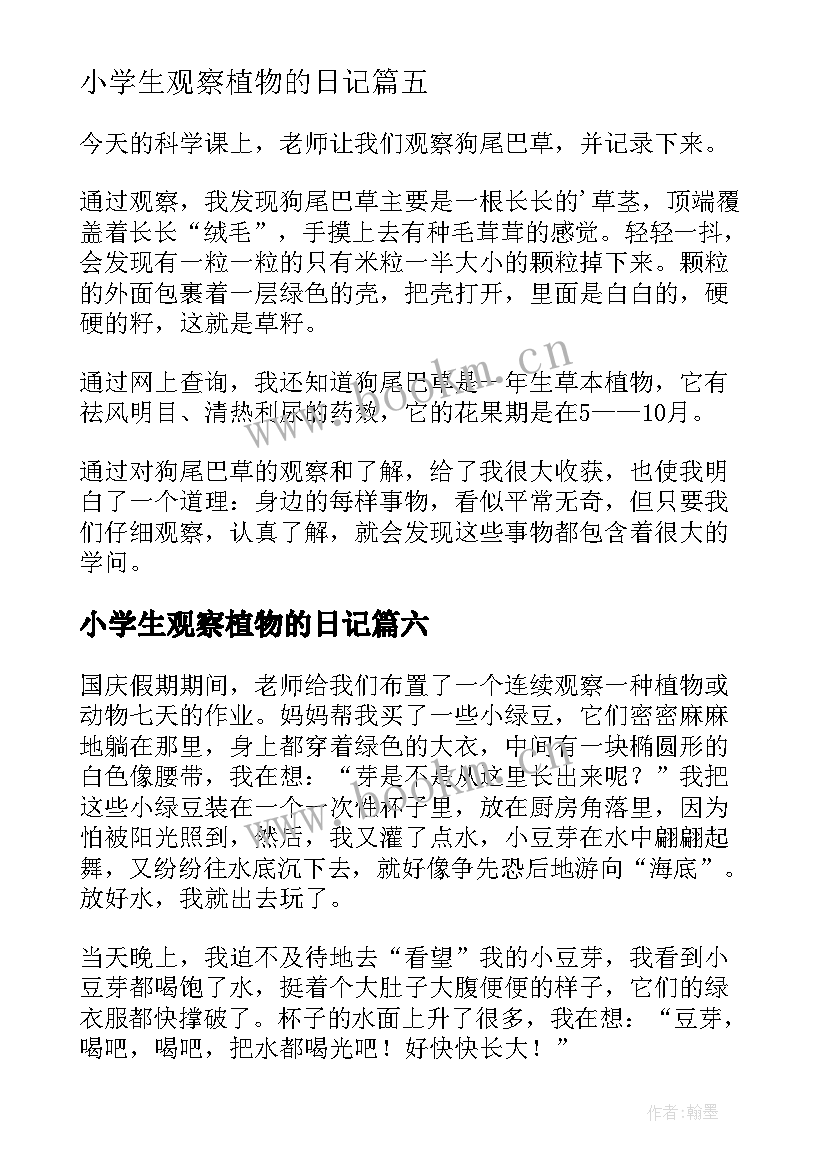 最新小学生观察植物的日记 小学生植物观察日记(优质19篇)