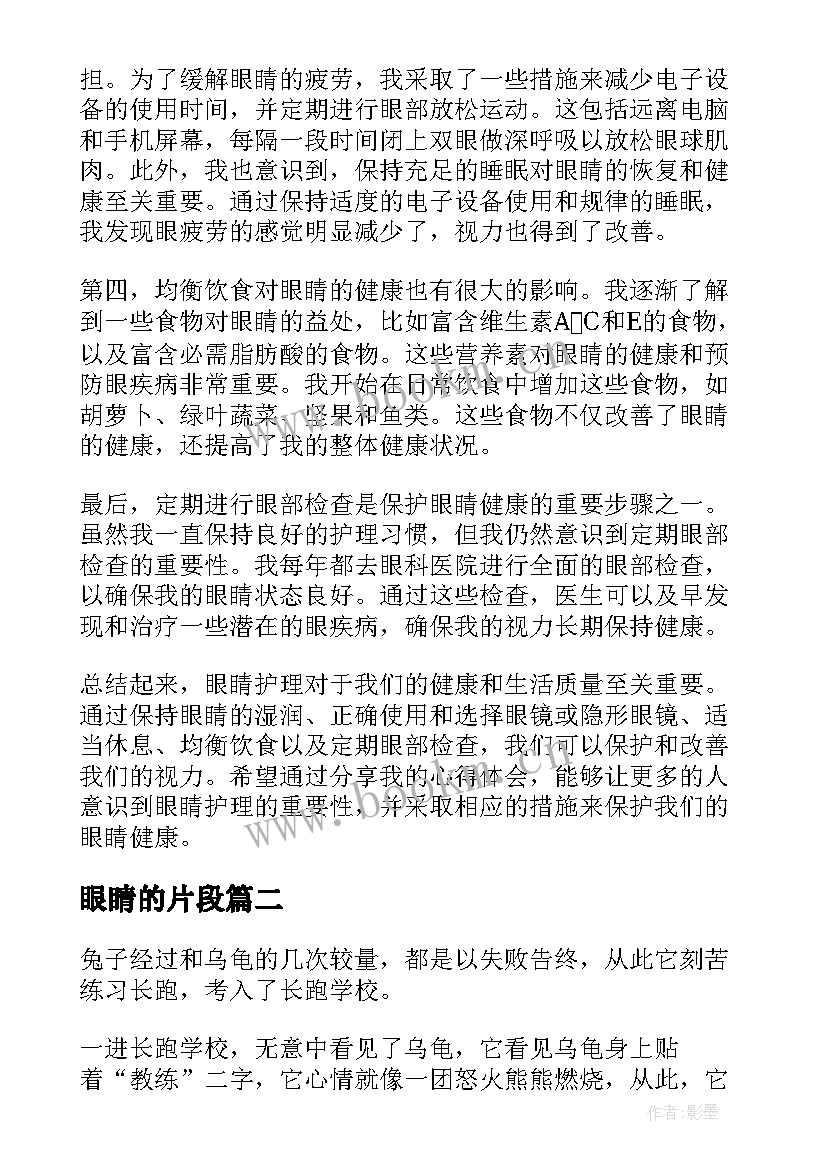 2023年眼睛的片段 眼睛护理心得体会(优秀13篇)