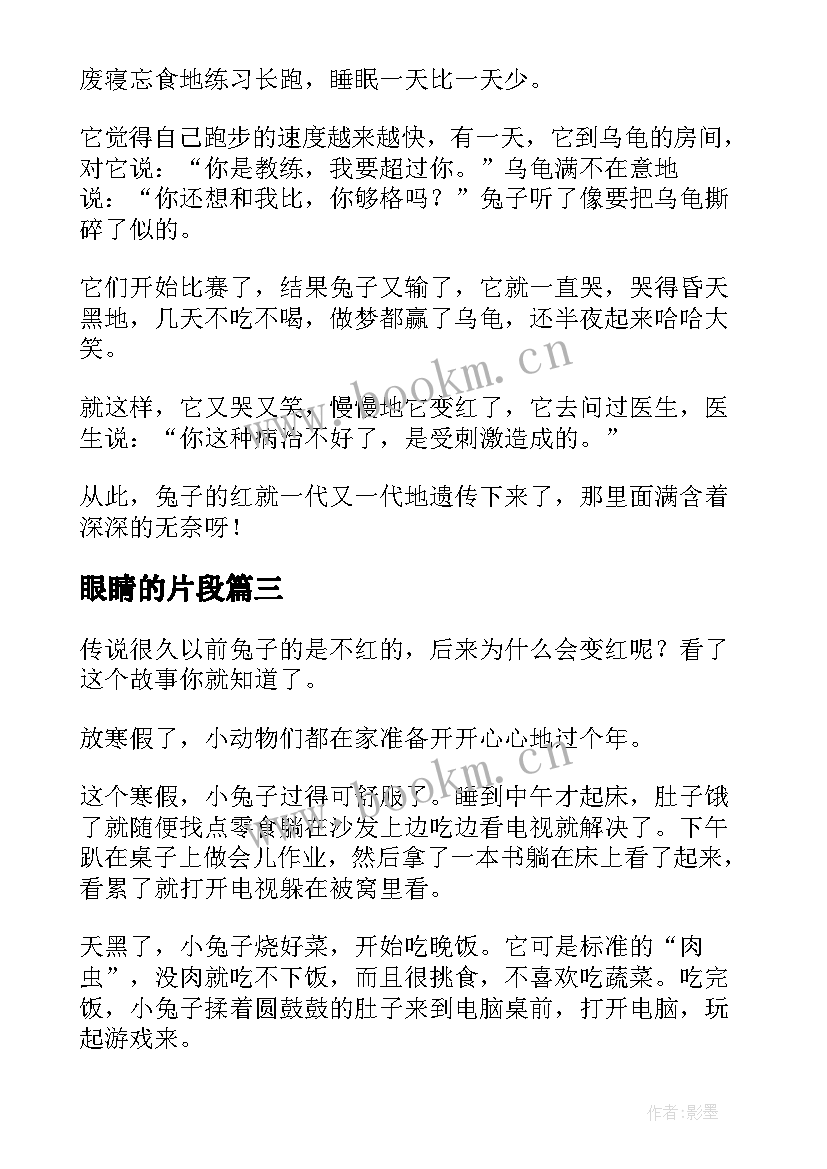 2023年眼睛的片段 眼睛护理心得体会(优秀13篇)