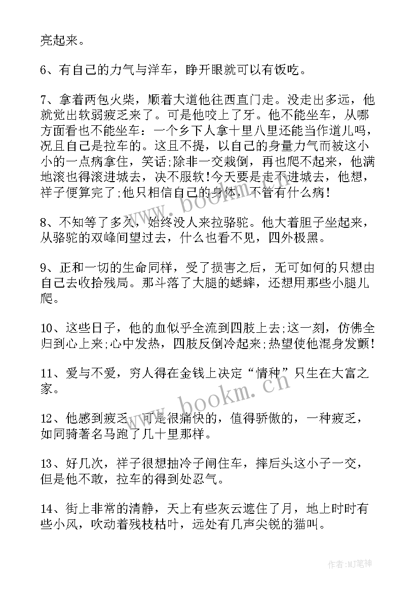 最新骆驼祥子好词好句摘抄 骆驼祥子好词好句(模板17篇)