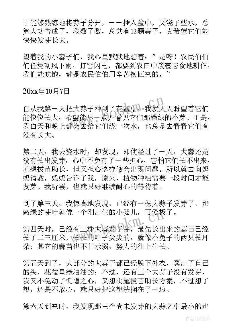 2023年观察日记小学级小白兔 四年级观察日记(模板12篇)