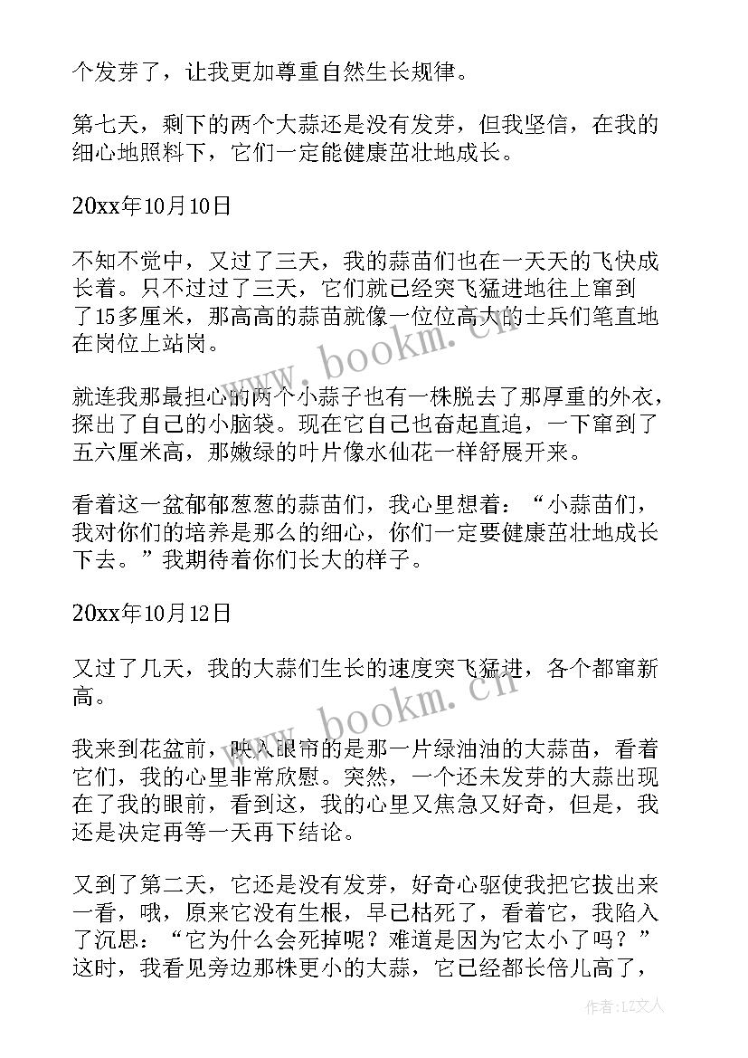 2023年观察日记小学级小白兔 四年级观察日记(模板12篇)