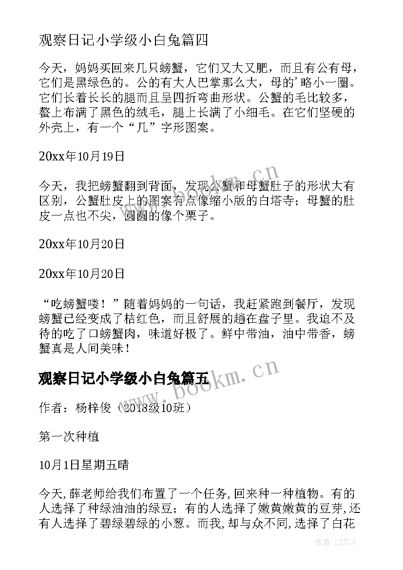 2023年观察日记小学级小白兔 四年级观察日记(模板12篇)