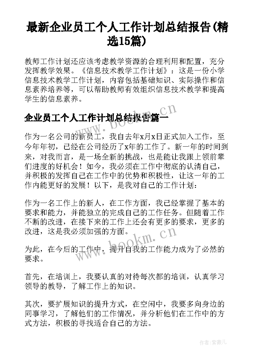 最新企业员工个人工作计划总结报告(精选15篇)