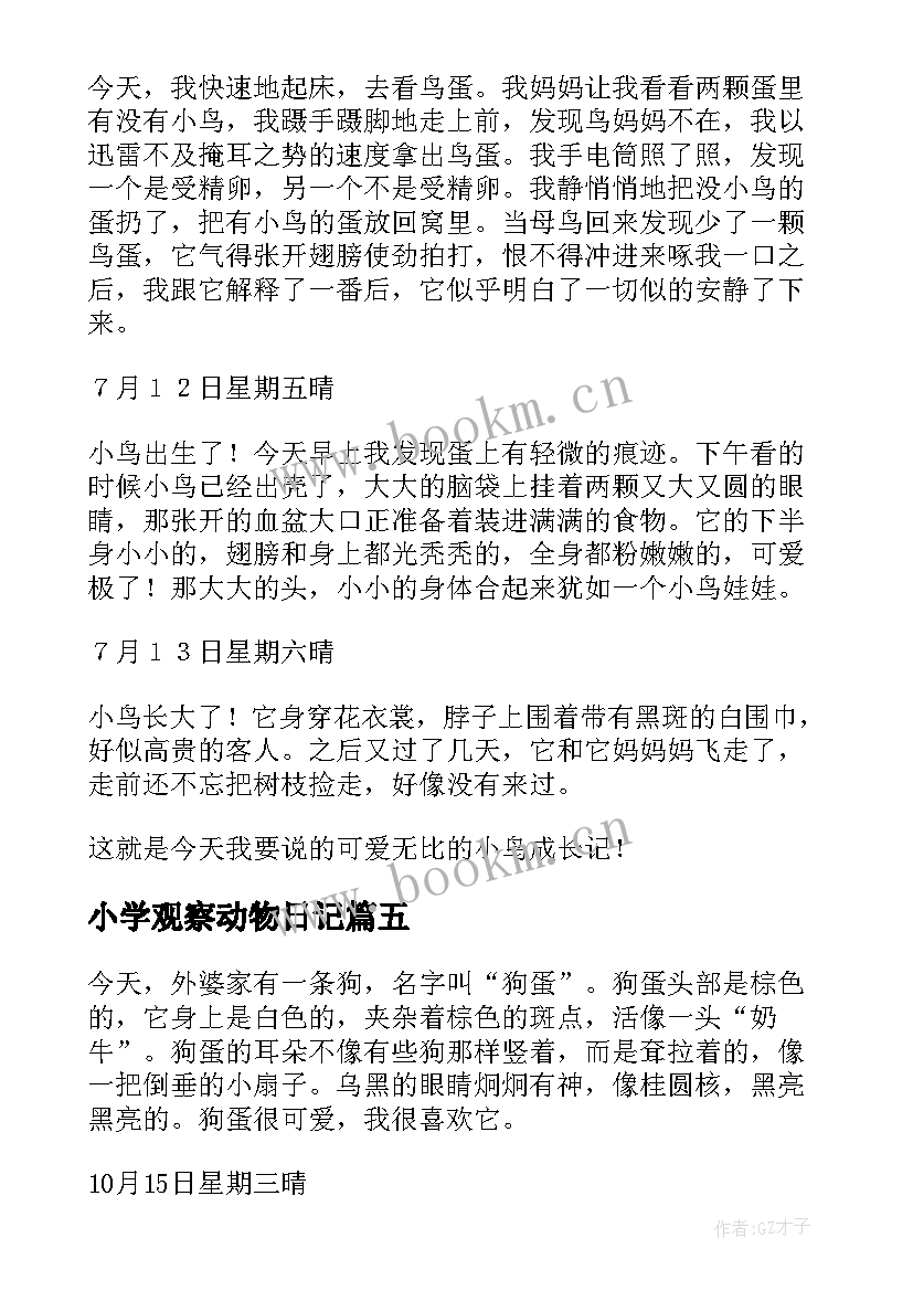 2023年小学观察动物日记(实用12篇)