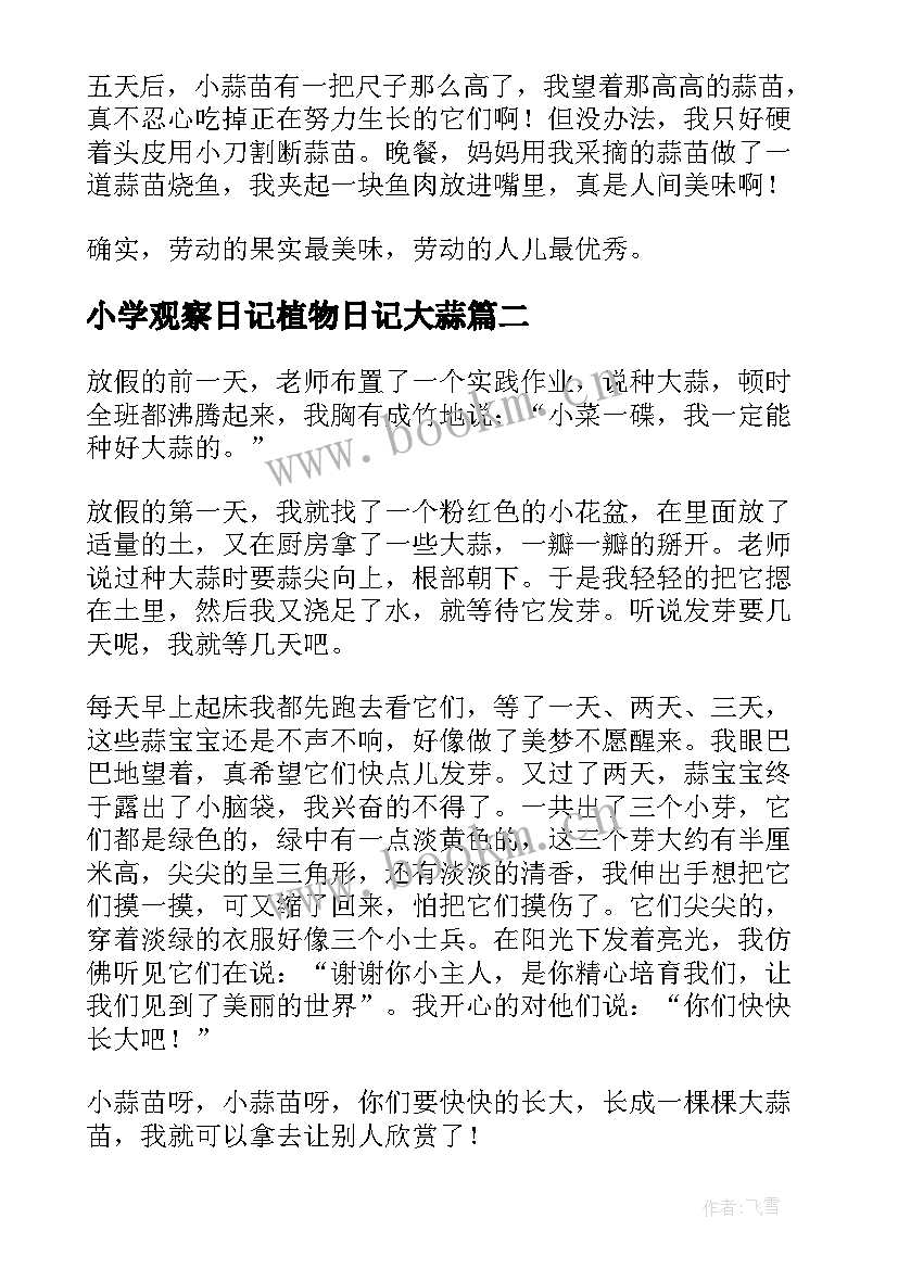 2023年小学观察日记植物日记大蒜 小学四年级观察日记观察大蒜(汇总8篇)