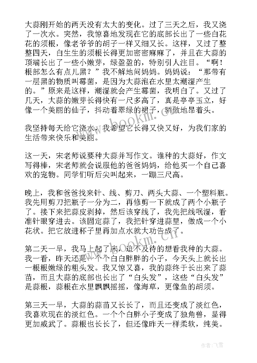 2023年小学观察日记植物日记大蒜 小学四年级观察日记观察大蒜(汇总8篇)