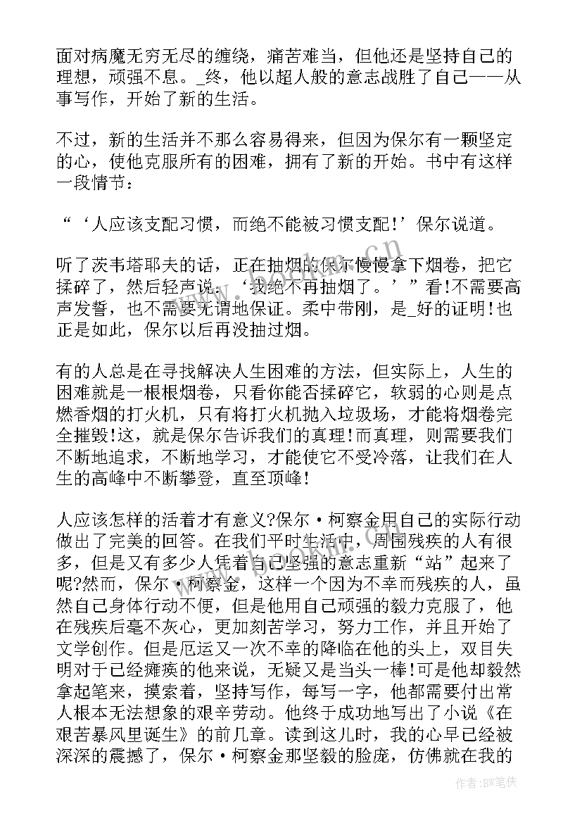 2023年暑假经典钢铁是怎样炼成的读后感 经典名著钢铁是怎样炼成读后感(优质8篇)