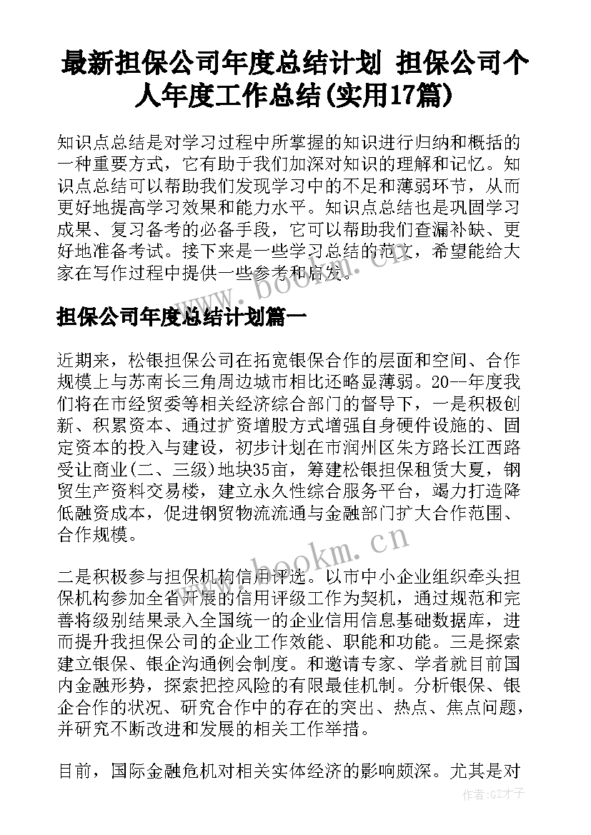 最新担保公司年度总结计划 担保公司个人年度工作总结(实用17篇)