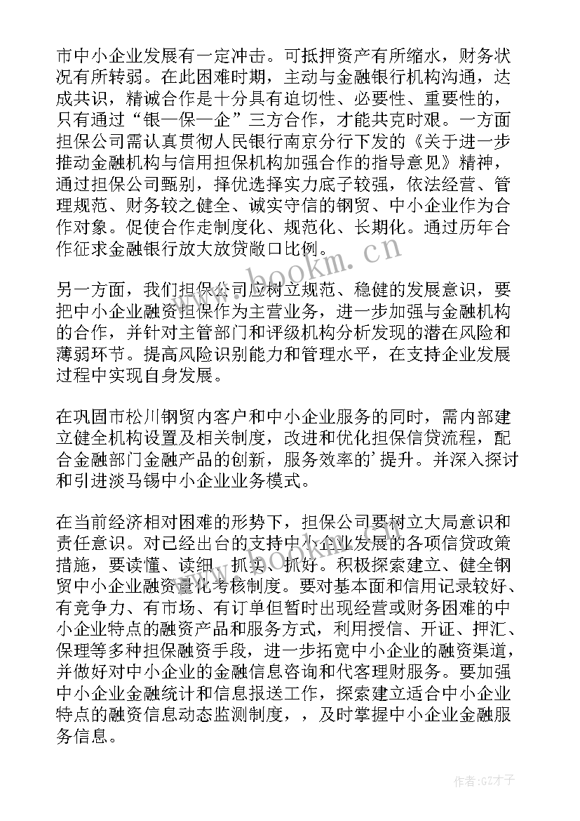 最新担保公司年度总结计划 担保公司个人年度工作总结(实用17篇)